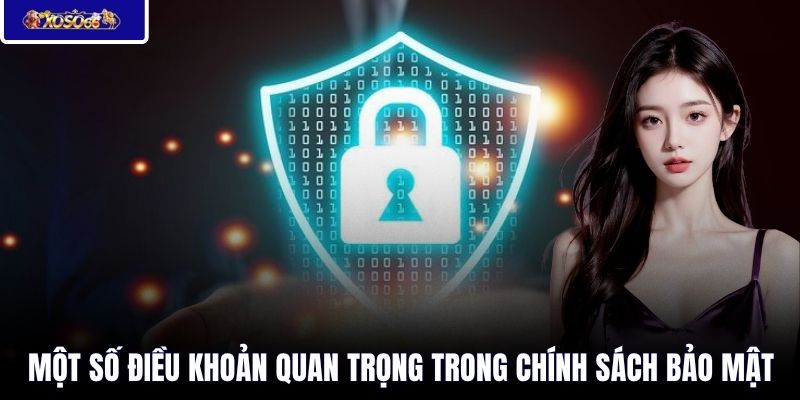 Một số điều khoản quan trọng trong chính sách bảo mật